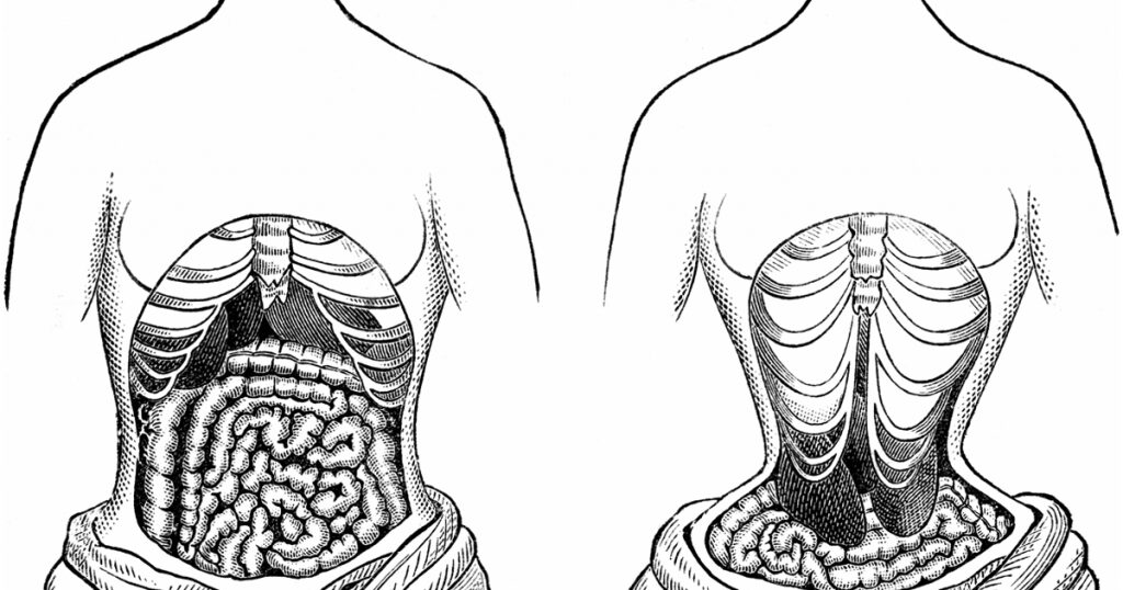 Image shows how wearing waist trainer or corsets over a long perod can rearrange and squeeze your organs.